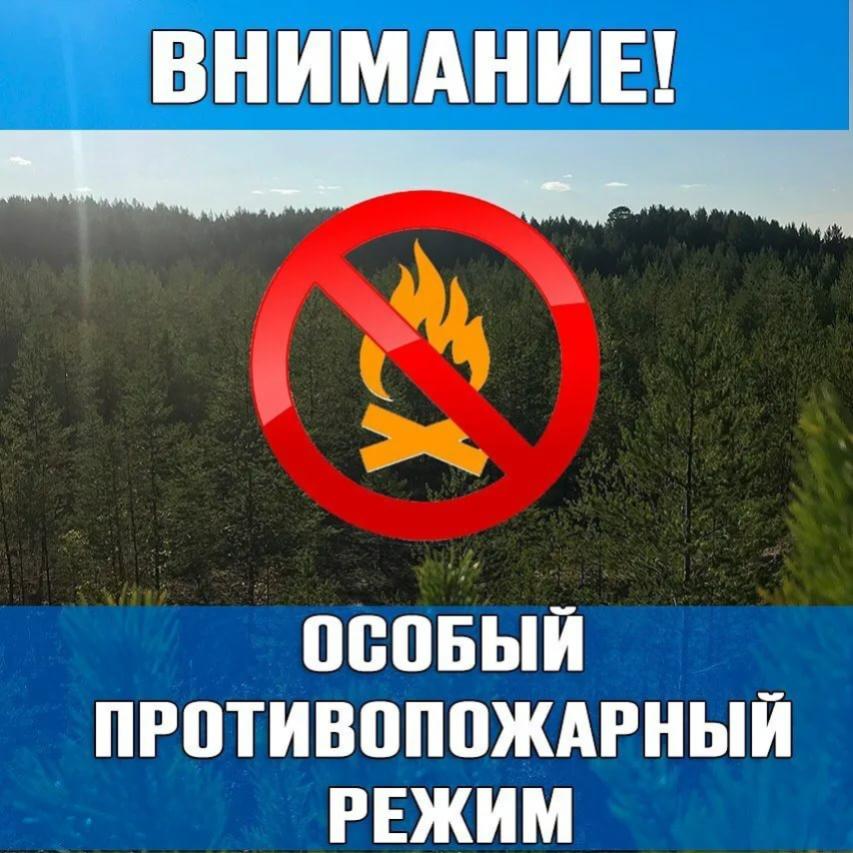 С 1 июля на территории Всеволожского муниципального района вводится особый противопожарный режим