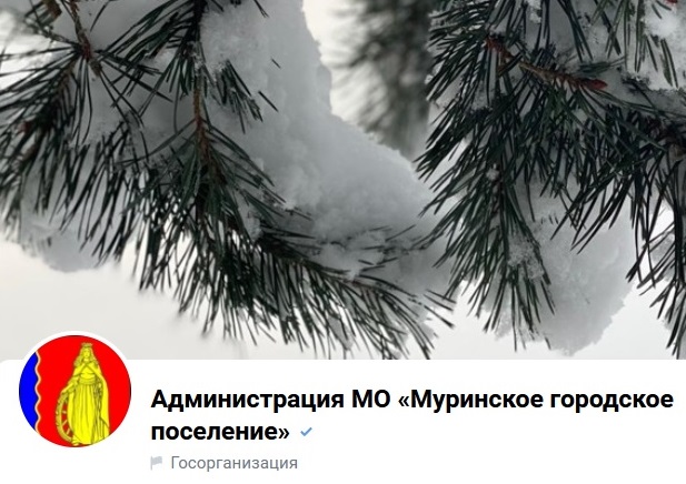 Mi v soccetyah VK