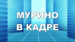 murino kadre